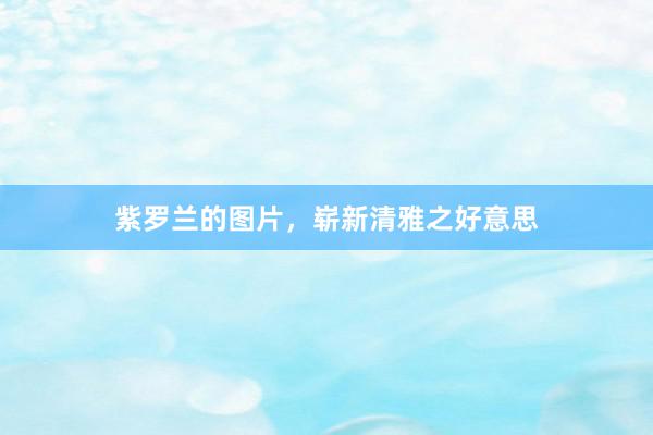 紫罗兰的图片，崭新清雅之好意思
