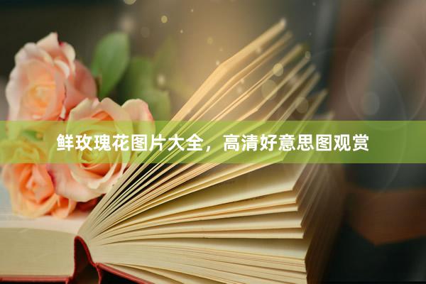 鲜玫瑰花图片大全，高清好意思图观赏